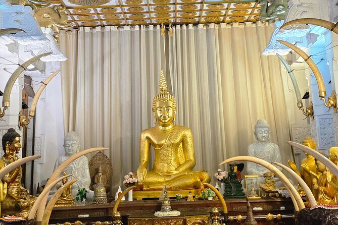 Kandy Full Day Tour Private All Inclusive - Authentic Experiences and Practical Details