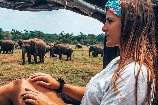 Kandy - Minneriya National park & Sigiriya Rock Fortress (Tours & Entrance fees) - Practicalities & Tips