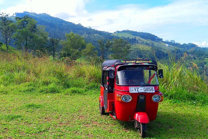 Kandy Nature & Culture Tour - A Close Look at the Tour Experience