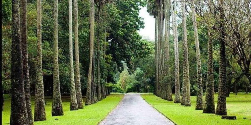 Kandy & Nuwara Eliya: 2-Day Tour! - An Overview of the 2-Day Itinerary