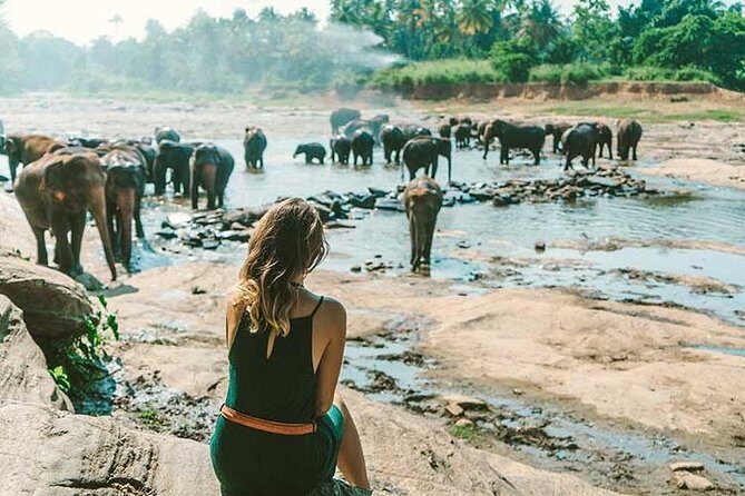 Kandy & Nuwara Eliya | 2 Days Tour - Exploring the Itinerary in Detail