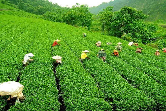 Kandy & Nuwara Eliya | 2 Days Tour - FAQ