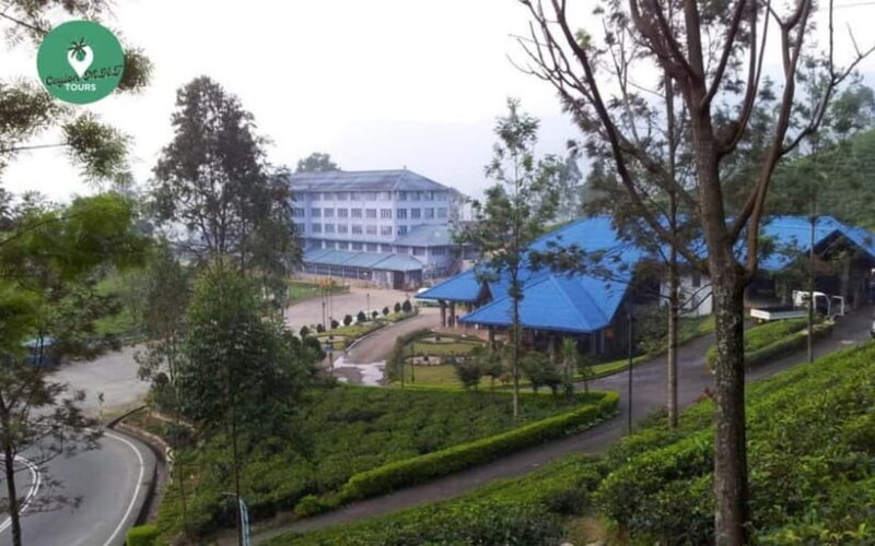 Kandy: Nuwara Eliya Day Explore by Tuk tuk with Local Guide - Key Points