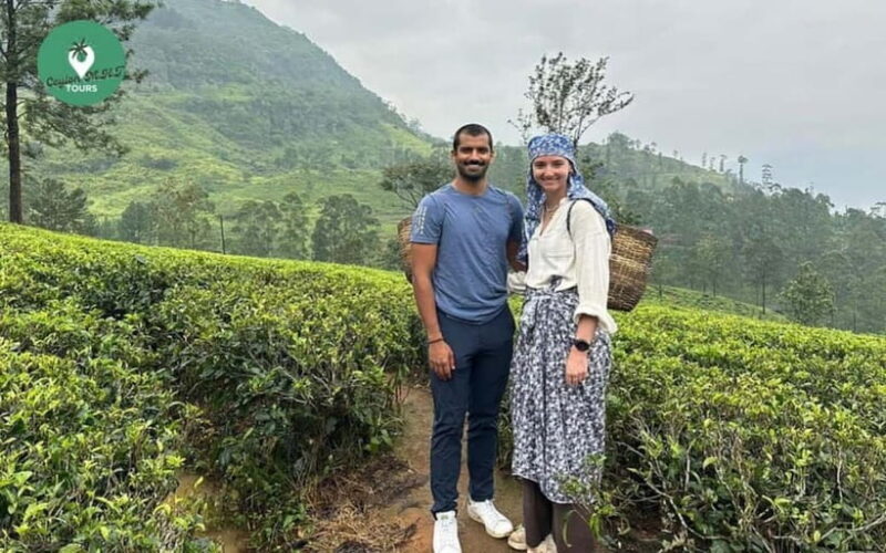 Kandy: Nuwara Eliya Day Explore by Tuk tuk with Local Guide - Who Should Consider This Tour?
