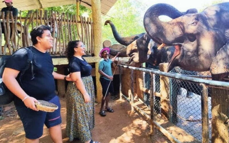 Kandy : Pinnawala Elephant Safari Tour with Kandy City Tour - FAQ