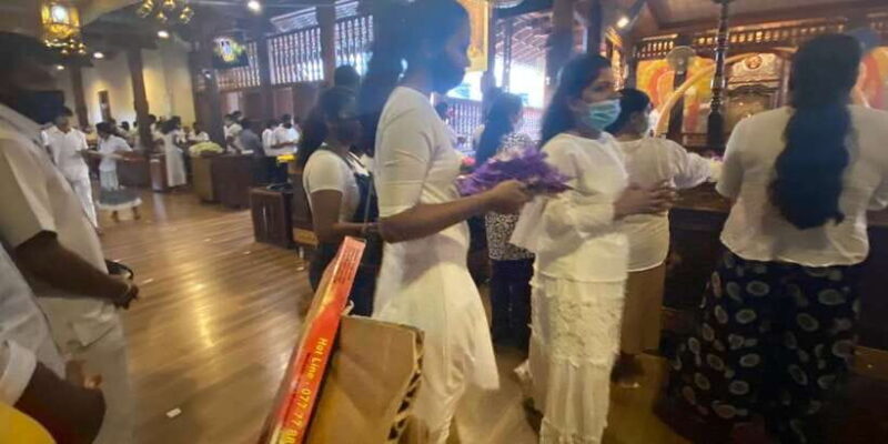 Kandy Pinnawala full day tour from Bentota and Kalutara - Key Points