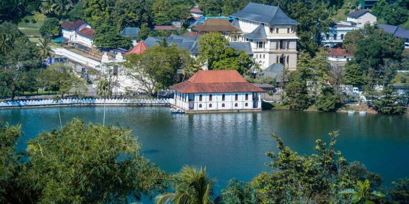 Kandy Pinnawala full day tour from Bentota and Kalutara - Peradeniya Botanical Garden: A Feast for the Senses