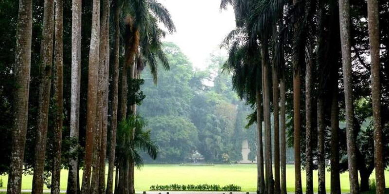 Kandy Pinnawala full day tour from Bentota and Kalutara - Duration and Logistics