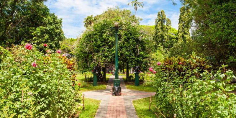 Kandy Pinnawala full day tour from Bentota and Kalutara - Cost and Value