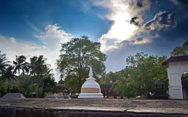 Kandy, Pinnawala Private Day Trip From The West Coast Beach - Who Should Consider This Tour?