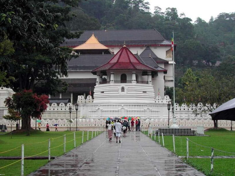 Kandy, Pinnawala Private Day Trip From The West Coast Beach - Final Thoughts