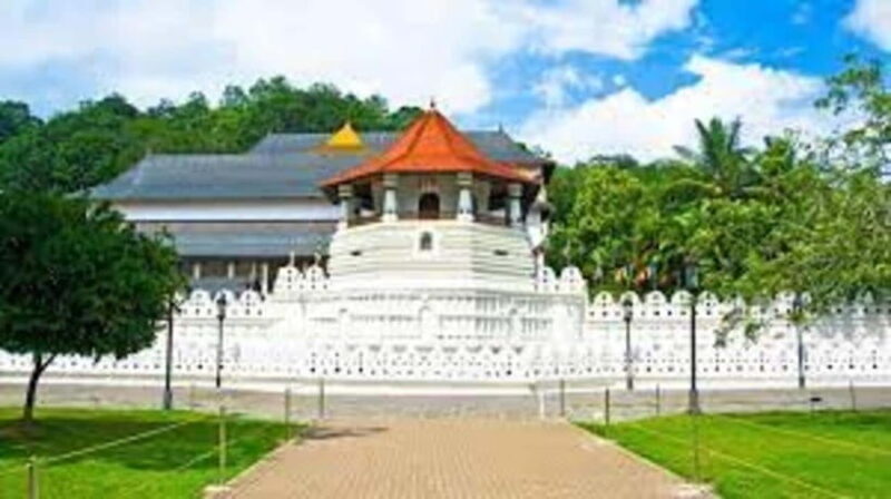 Kandy & Pinnawala & Tea Factory Full Day Tour From Negombo - Pinnawala Elephant Orphanage