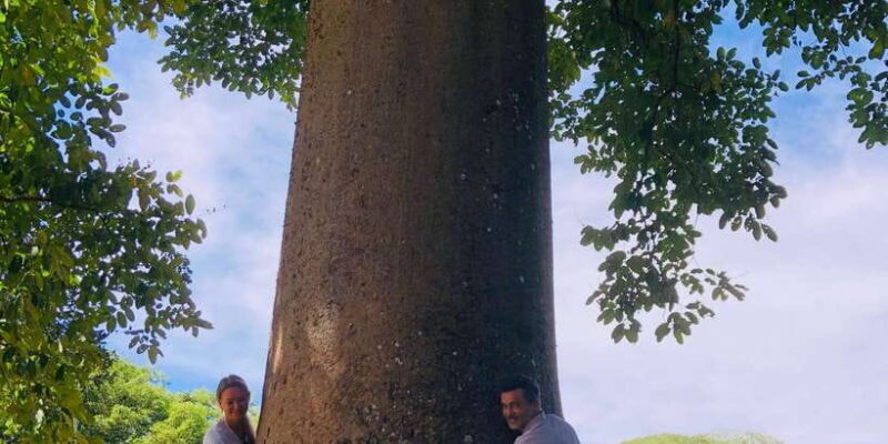 Kandy privet day tour with pinnawala and Tea plantation - Why This Tour Is a Great Choice