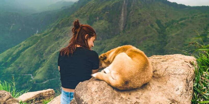 Kandy: Shanthipura and Nuwara Eliya - Authentic Experiences and Practical Tips