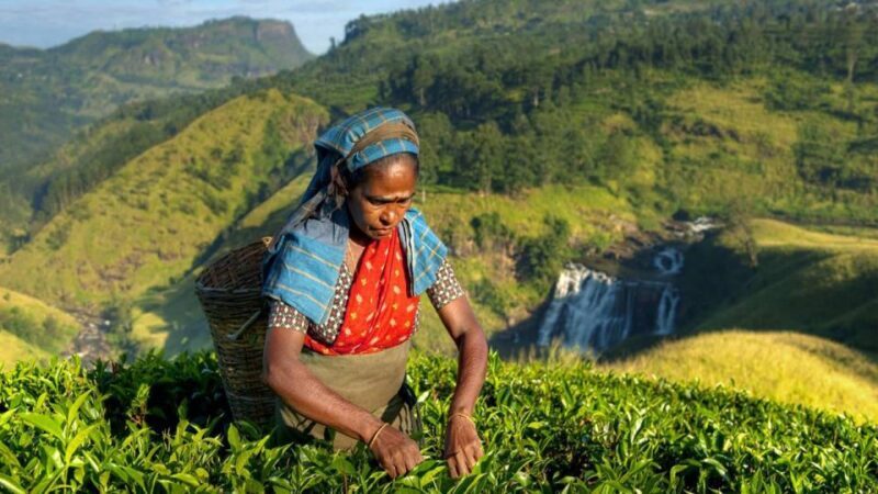 Kandy: Shanthipura and Nuwara Eliya - FAQ