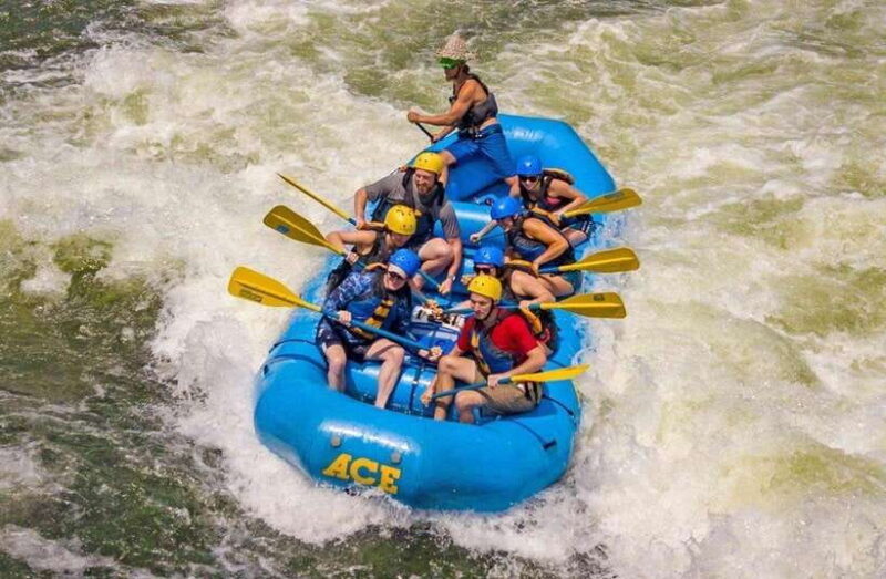 Kandy to Kithulgala White Water Rafting on the Kelani River - Key Points