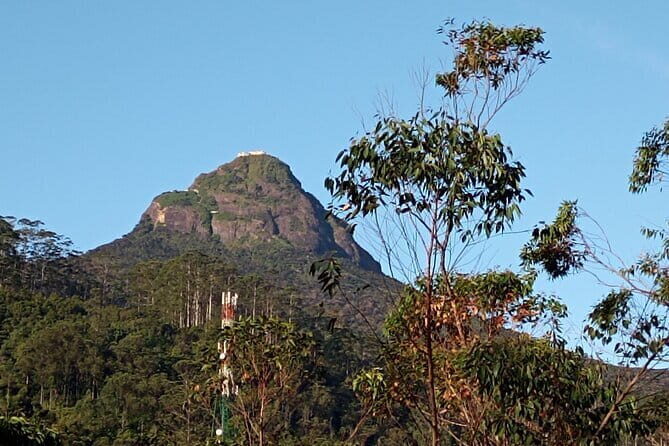 Kandy to Nallathanniya (Climb Adams Peak) - An In-Depth Look at the Tour