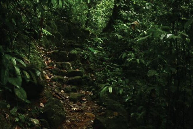Kandy to Nallathanniya (Climb Adams Peak) - Who Will Love This Experience?