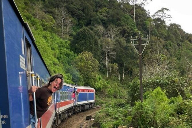 Kandy to Nanuoya (Nuwaraeliya) by Train - Reserved Seats - An In-Depth Look at the Kandy to Nanuoya Train Journey