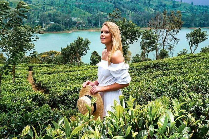 Kandy to Nuwara Eliya Day Tour - Final Thoughts: Who is This Tour For?