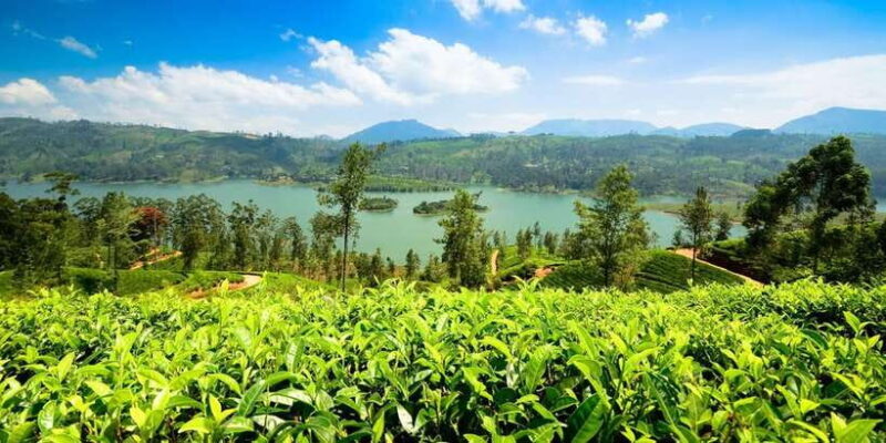 Kandy To Nuwara Eliya Drop Tour - Sri Lanka - Introduction: An Accessible Escape to Sri Lanka’s Colonial Charm