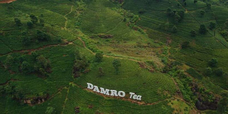 Kandy To Nuwara Eliya Drop Tour - Sri Lanka - FAQ