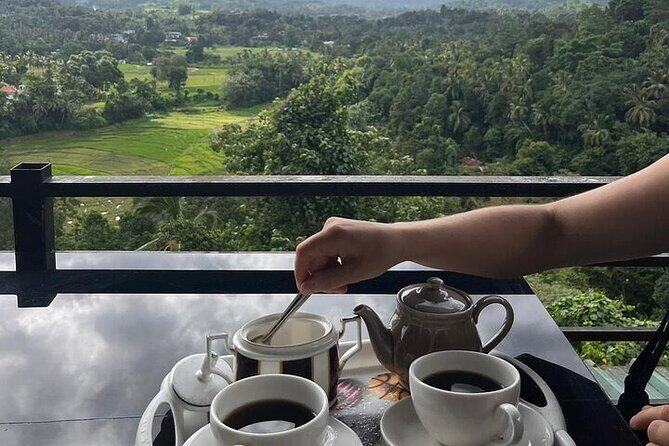 Kandy to Nuwara Eliya Private Day Tour: Tea Factory& Gregory Lake - Key Points