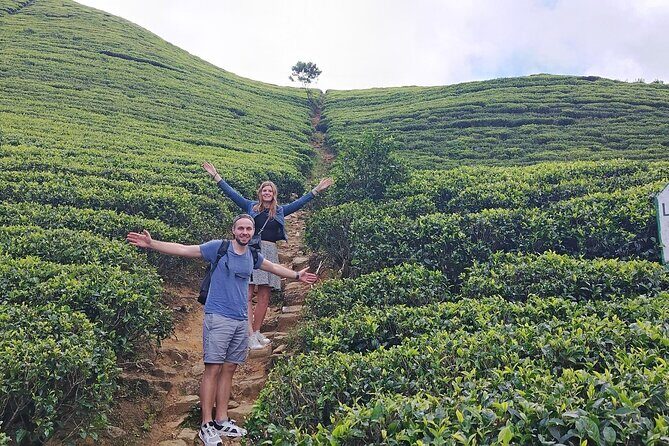 Kandy to Nuwara Eliya Private Day Tour: Tea Factory& Gregory Lake - Blue Field Tea Factory: Cultural and Culinary Insights