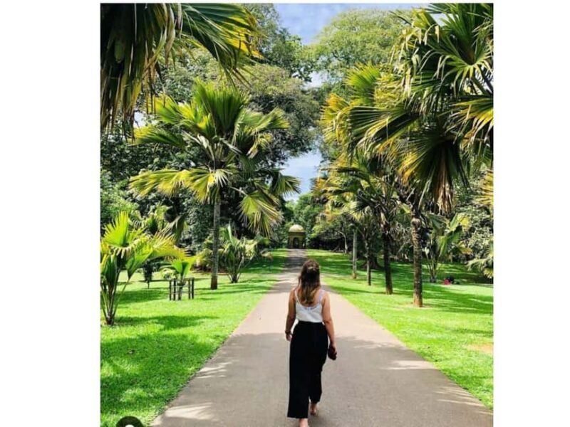 Kandy to Pinnawala Orphanage and Ambuluwawa Guided Day Tours - FAQs