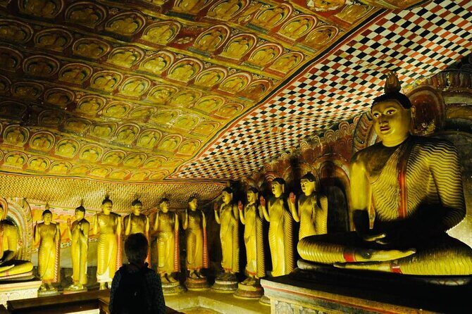 Kandy to Sigiriya Day Trip - Who Should Book This Tour?