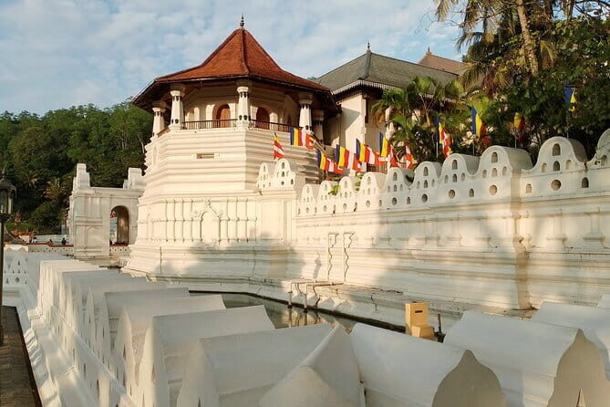 Kandy to Yala Transfer - Who Should Book This Transfer?