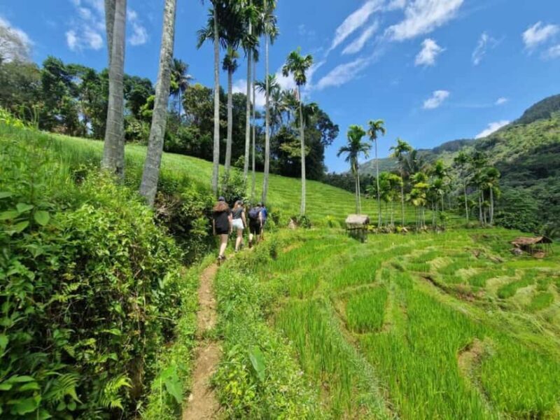 Kandy: Traditional Village Tour with Authentic Experience - Introduction