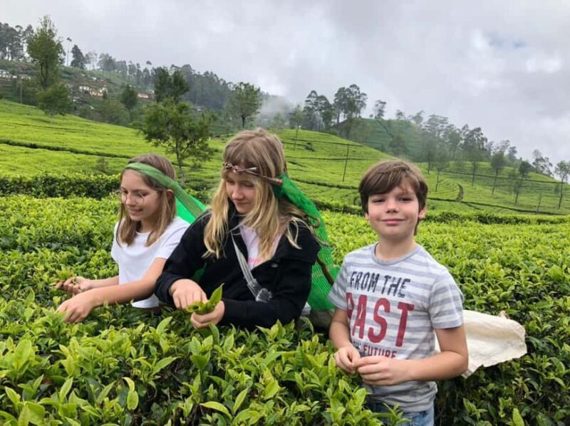 Kandy: Traditional Village Tour with Authentic Experience - What Makes This Tour Stand Out