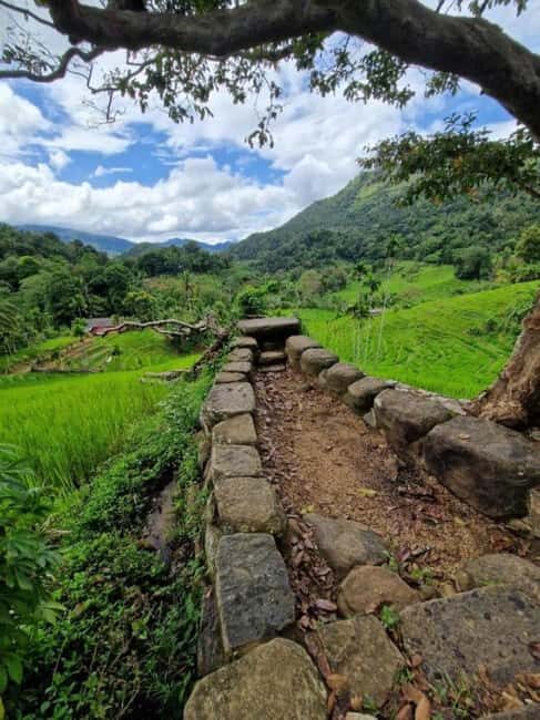 Kandy: Traditional Village Tour with Authentic Experience - The Sum Up