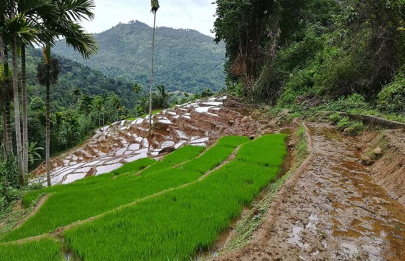 Kandy: Traditional Village Tour with Authentic Experience - FAQ