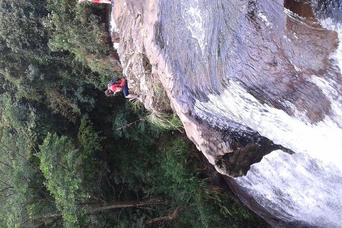 kandy waterfalls day tour - Who Should Consider This Tour?