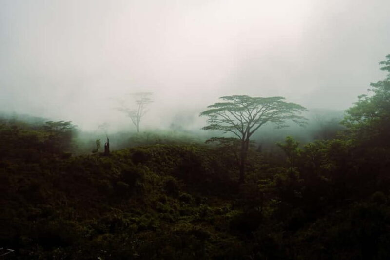 Kandy(Meemure): Knuckles Range Guided Small-Group Hike - Supporting Sustainable Tourism