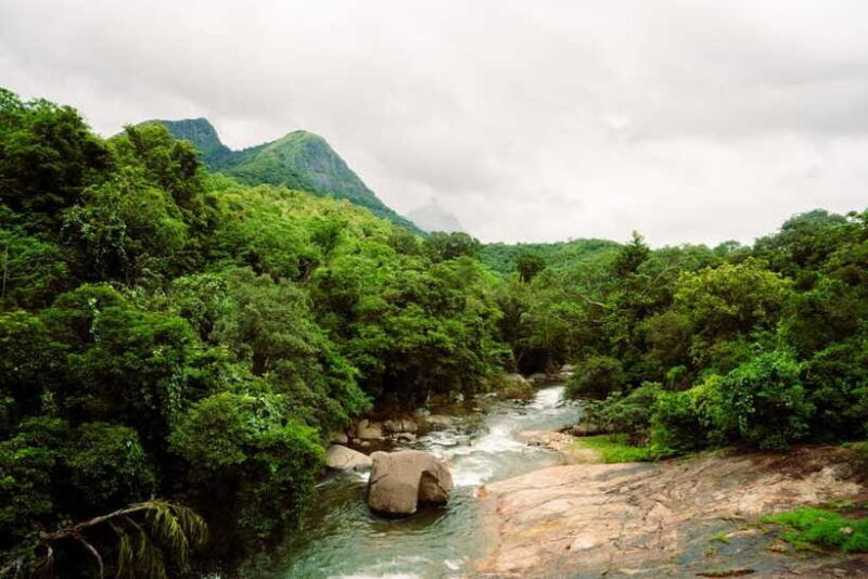 Kandy(Meemure): Knuckles Range Guided Small-Group Hike - Group Size and Timing
