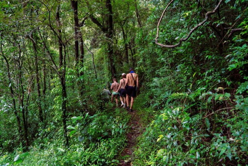 Kandy(Meemure): Knuckles Range Guided Small-Group Hike - What to Bring