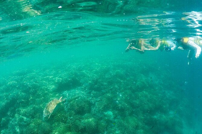 Kaneohe Sandbar Snorkeling Tour - 2nd Tour - FAQ