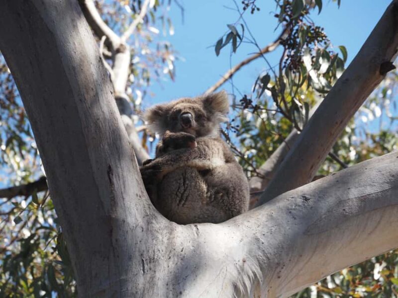 Kangaroo Island: 2 Day Private 4WD Tour with Private Guide - Day 2: Iconic Landmarks and Hidden Gems