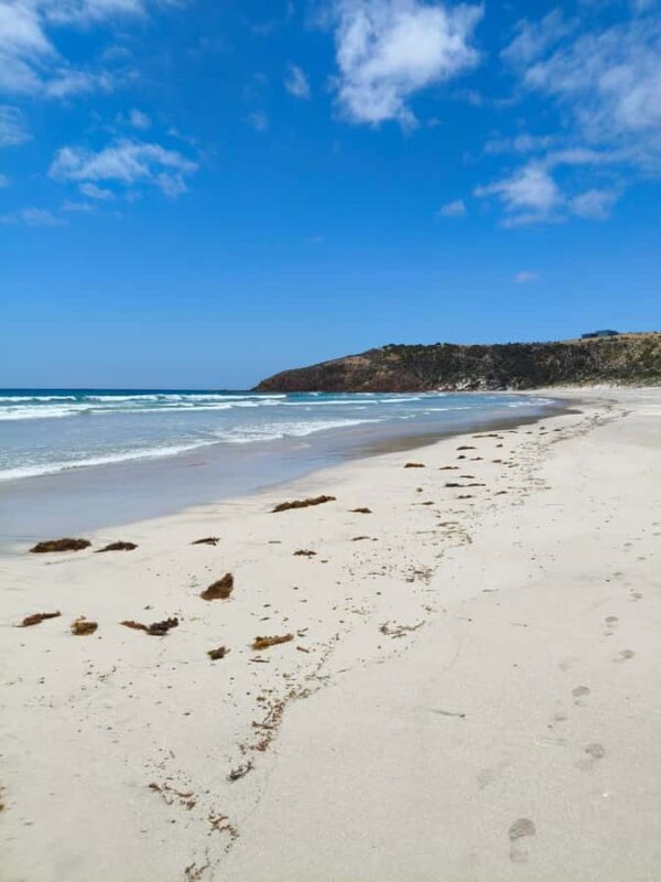 Kangaroo Island: 2 Day Private 4WD Tour with Private Guide - Price and Value