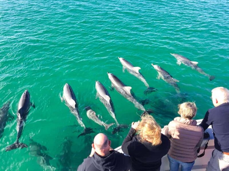 Kangaroo Island: 75-Minute Coastal Safari - Final Thoughts