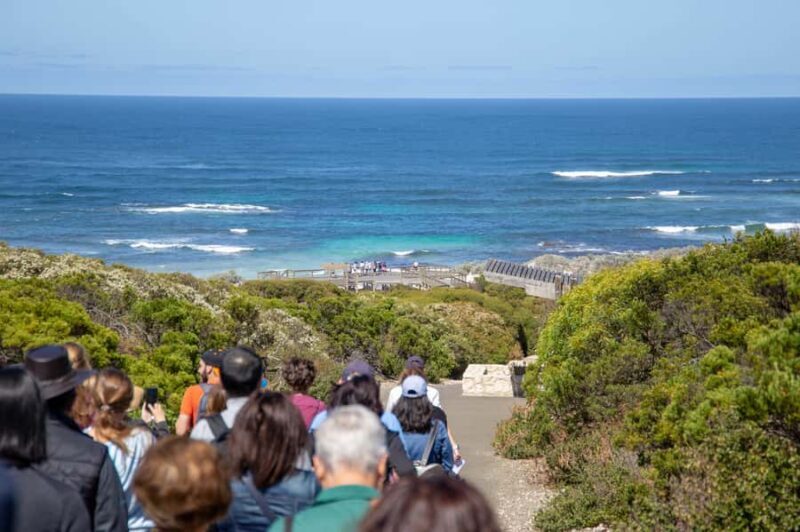 Kangaroo Island Full Day Experience by Ferry Including Lunch - Lunch: A Authentic and Tasty Break