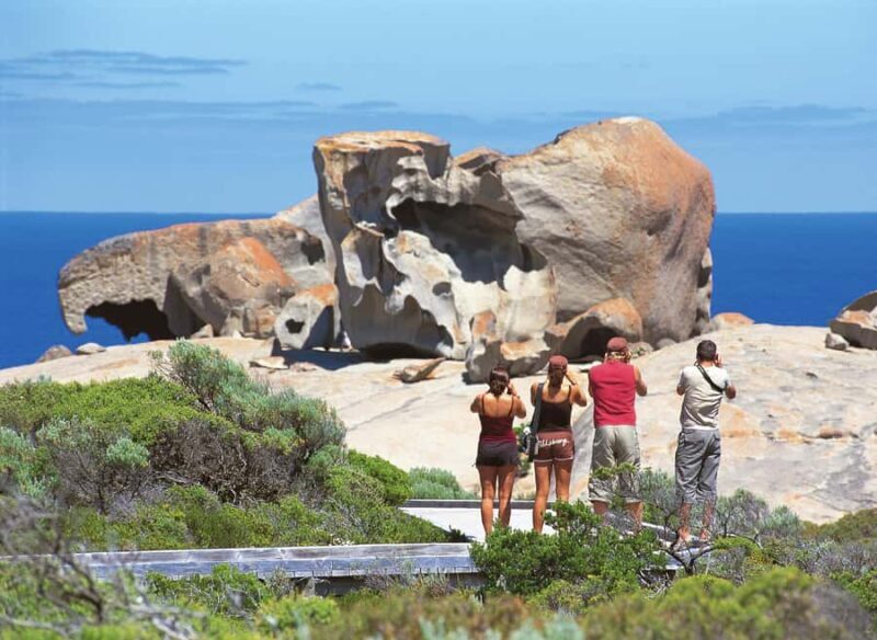 Kangaroo Island: Full Day Guided Flinders Chase Focus Tour - Review Highlights & Authentic Traveler Insights