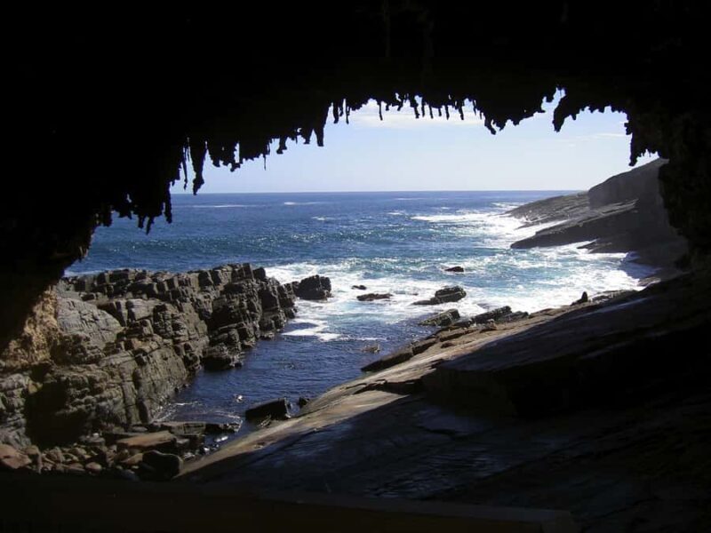 Kangaroo Island: Full Day Guided Flinders Chase Focus Tour - Who Will Love This Tour?