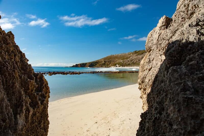 Kangaroo Island: Full-Day Guided Island Life Tour - Who Will Love This Experience?