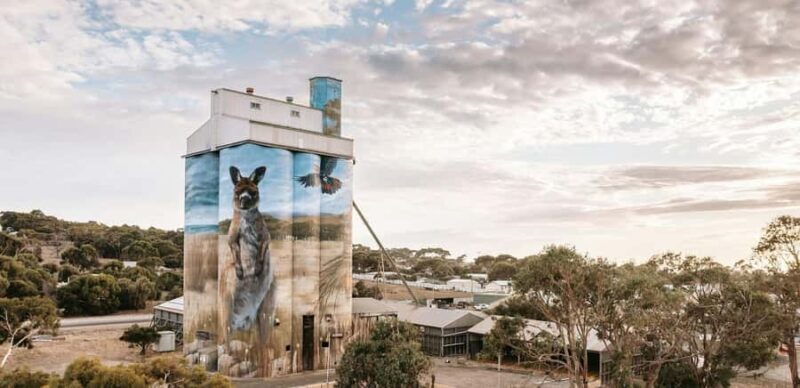 Kangaroo Island: Half-Day Tour Guided Coach Tour - Pricing and Value