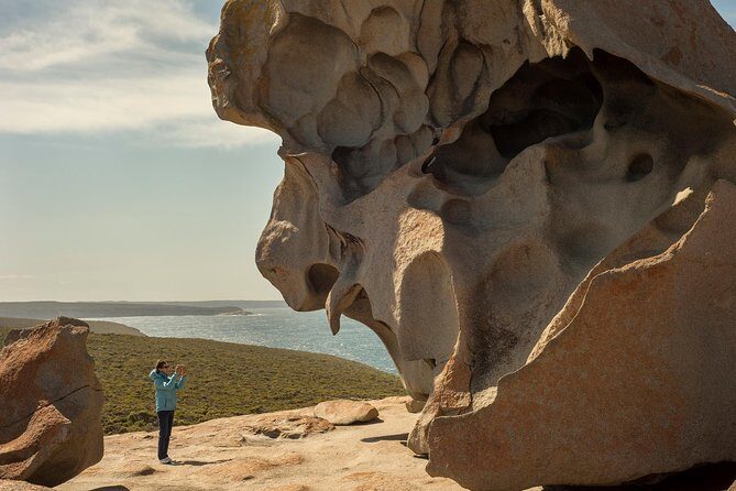 Kangaroo Island in a Day Tour from Adelaide - What Travelers Are Saying