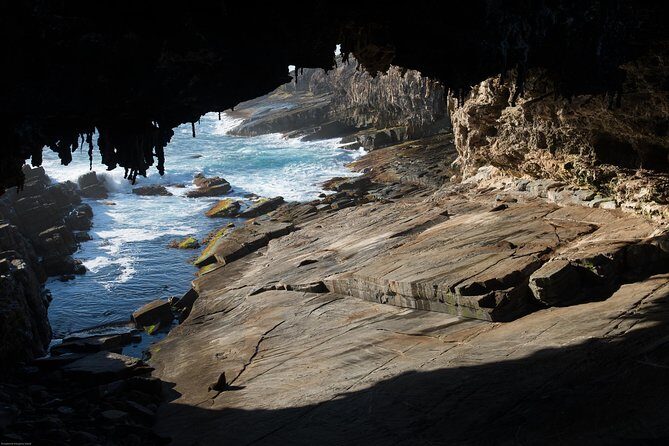 Kangaroo Island Luxury Small Group 'Flinders Chase Focus' Full Day Tour - Admirals Arch: A Coastal Marvel